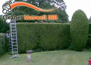 Hedge Maintenance Muswell Hill