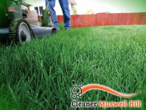 grass-cutting-services-muswell-hill