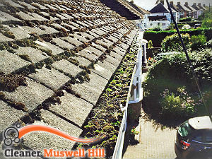 gutter-cleaning-muswell-hill